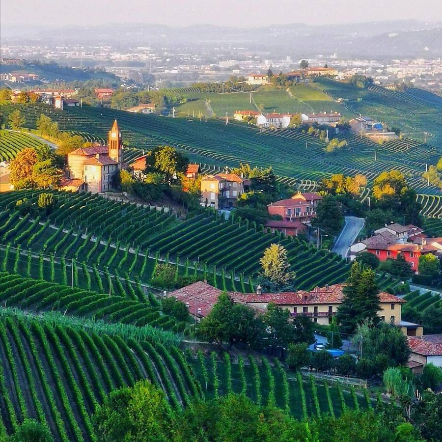 Ganze Wohnung, Sul Bric Dei Capalot in La Morra, Langhe