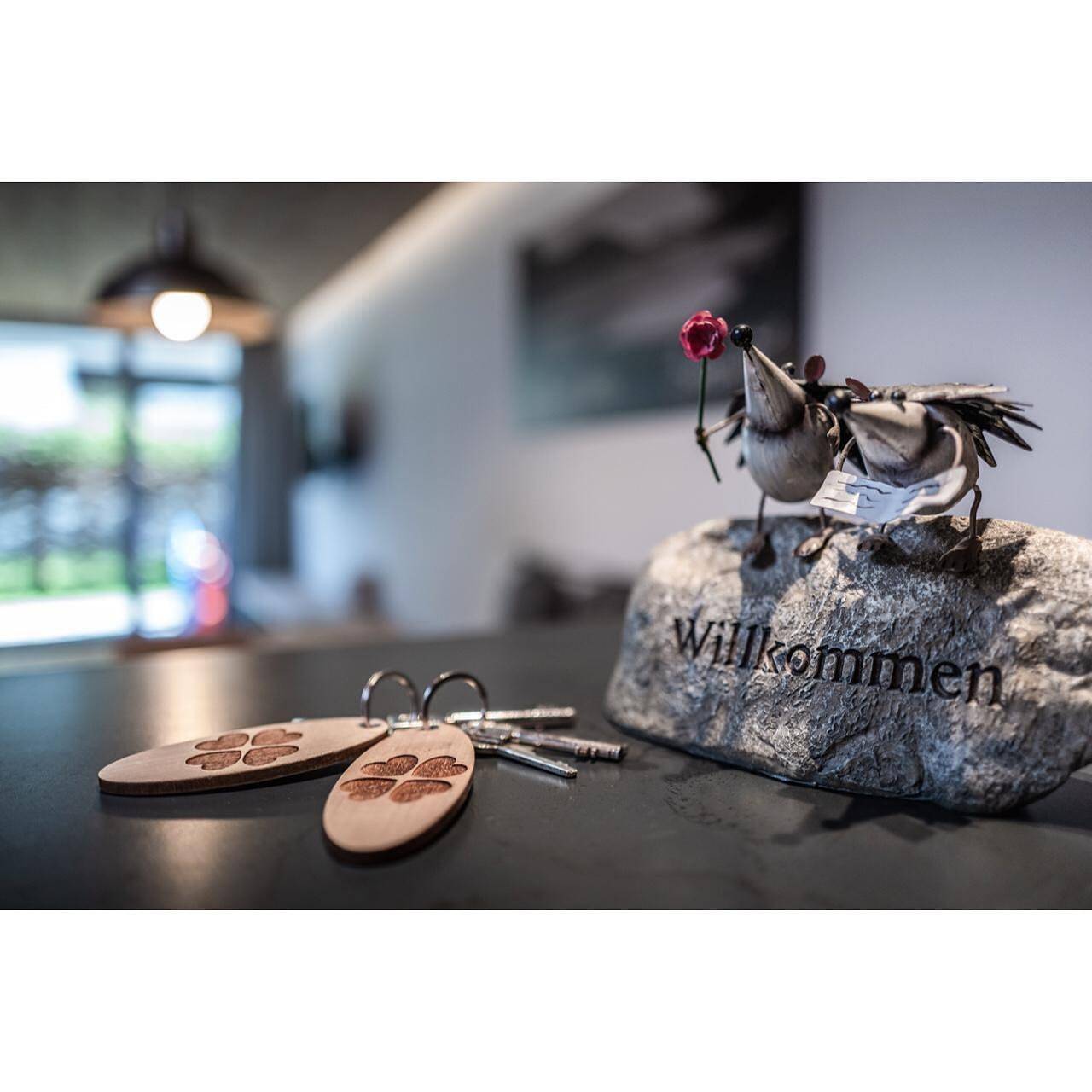 Ganze Ferienwohnung, Alpenchalet Seensucht in Maurach, Eben am Achensee