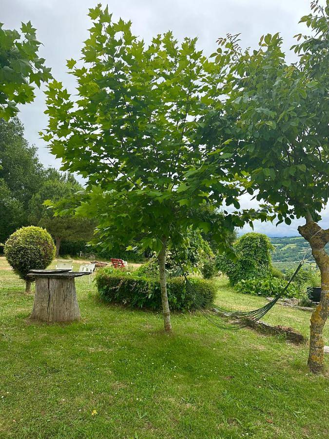 Location de vacances pour 20 personnes, avec jardin et vue ainsi que terrasse et piscine à Sarria (Lugo) - 4