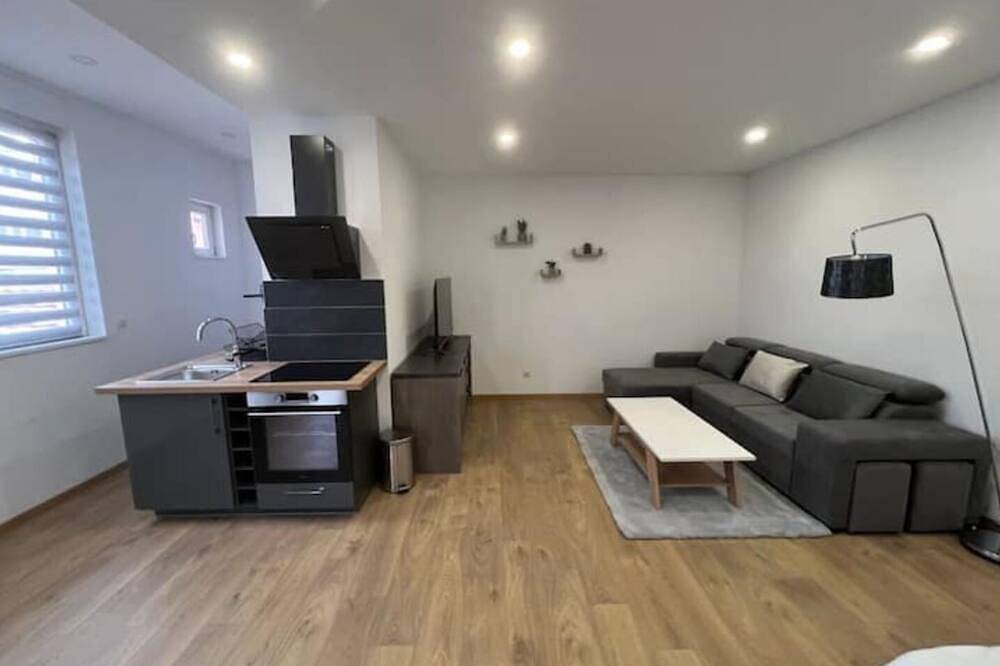 Appartement entier, Nice furnished studio renovated in Delle, Massif du Jura