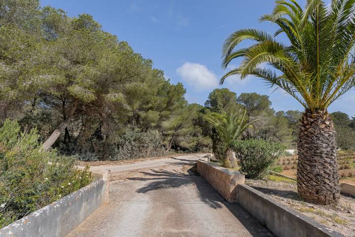Finca für 4 Personen, mit Garten auf Formentera - 4