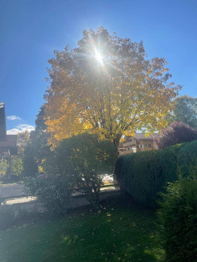 Ferienwohnung für 2 Personen, mit Terrasse und Garten sowie Sauna und Seeblick am Tegernsee - 4