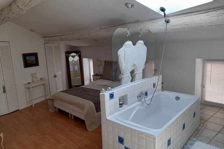 Location de vacances pour 10 personnes, avec jardin ainsi que terrasse et jacuzzi à Sainte-Valière - 4