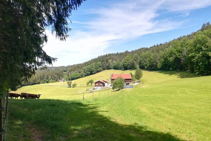 Bauernhof für 5 Personen, mit Garten und Balkon