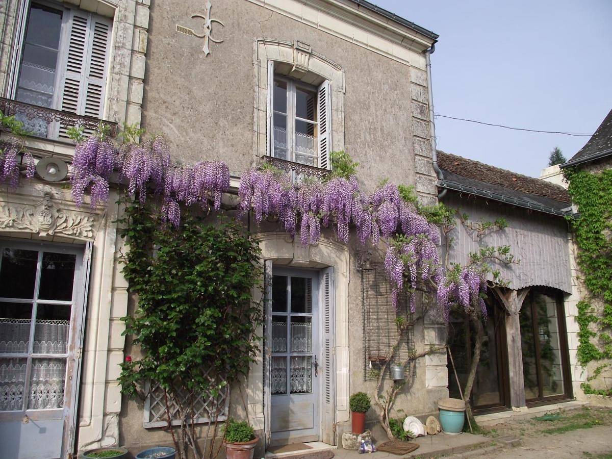 Double Room with Private Bathroom in Cheillé, Vallée de la Loire