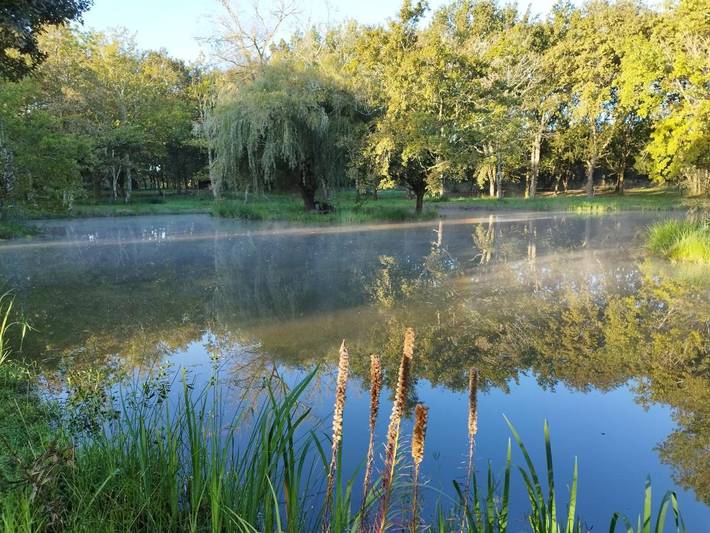 Location de vacances pour 2 personnes, avec vue ainsi que terrasse et jardin à Saint-Paul-en-Born - 2