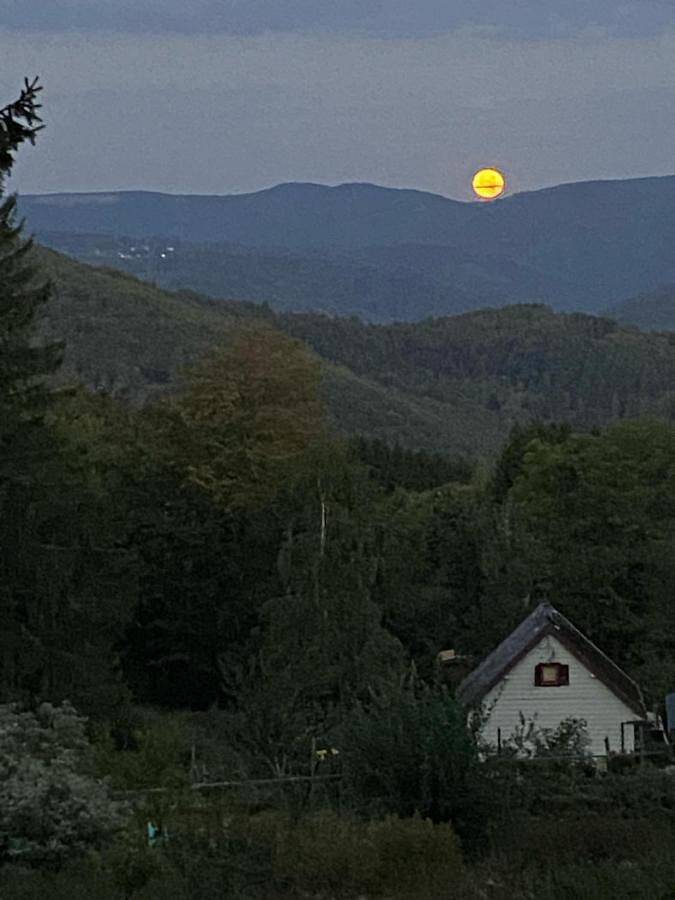 Gîte pour 10 personnes, avec jardin ainsi que balcon et jacuzzi à Grendelbruch - 2