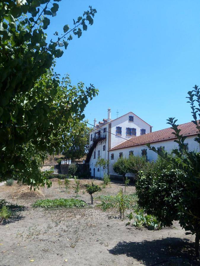Villa para 7 pessoas, com vista e piscina e ainda varanda em Montemor-o-Novo