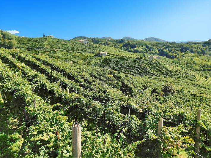 Ferienhaus für 18 Personen, mit Sauna und Balkon sowie Garten und Whirlpool in den Dolomiten - 4