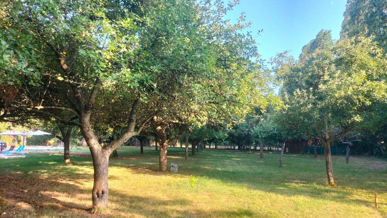 Domaine le bas bois in Neuville-sur-Sarthe, Sarthe