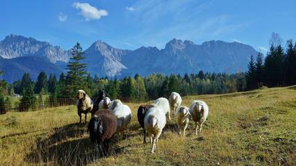 Ferienwohnung für 2 Personen in Mittenwald, Bayerische Alpen, Bild 2