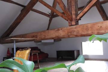 Gîte pour 14 personnes, avec sauna et jardin ainsi que terrasse et jacuzzi, animaux acceptés à Chanas