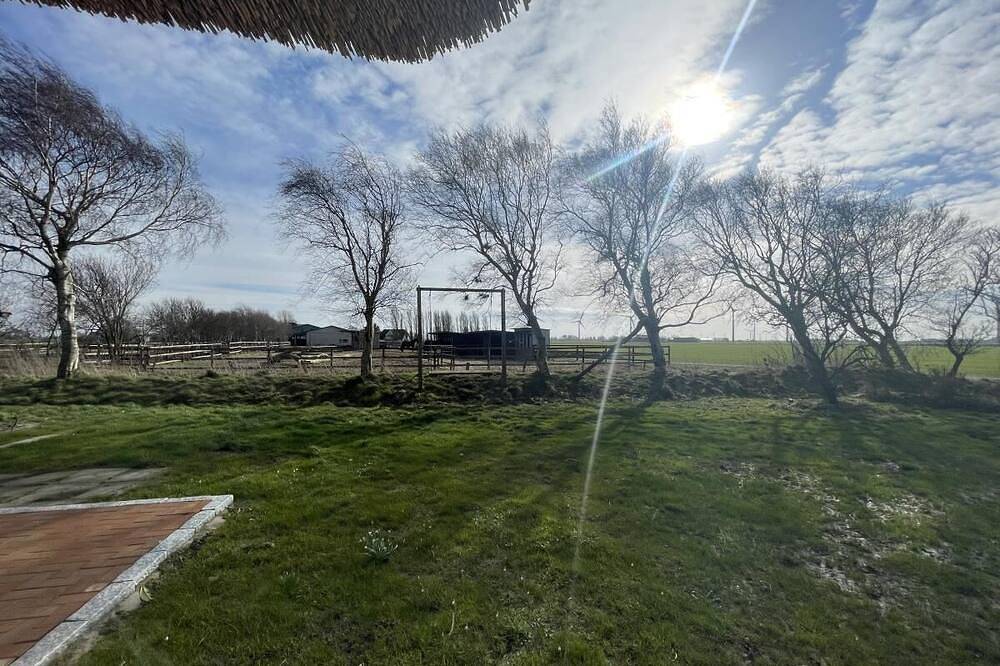 Ganze Wohnung, Seedeich 2 in Hillgroven, Nordsee - Schleswig-Holstein