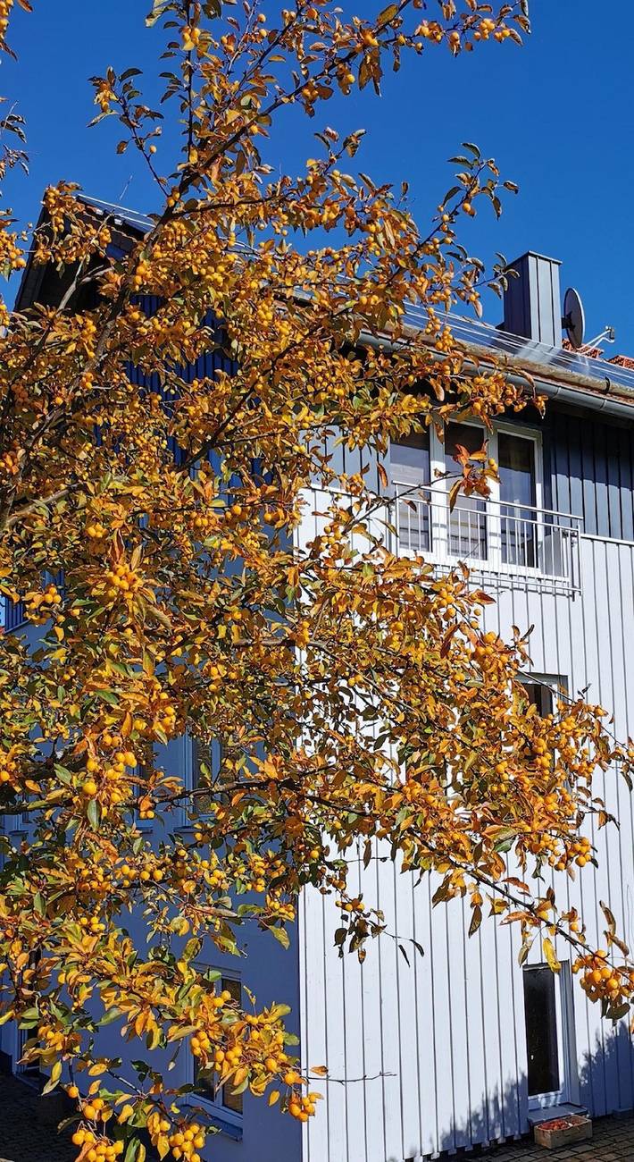 Ganze Ferienwohnung, Rhönnatur in Hilders, Rhön-Hessen