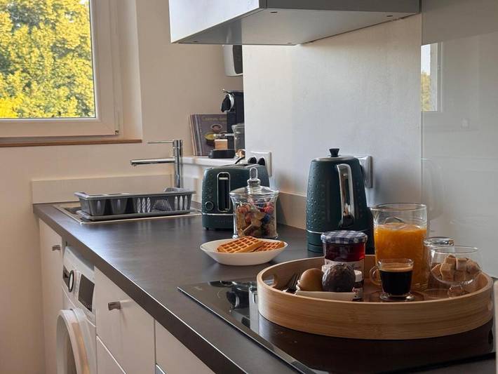 Gîte pour 3 personnes, animaux acceptés à Jouy-en-Josas - 4