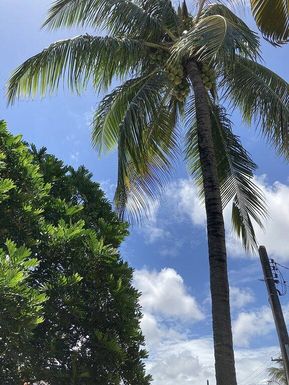 Nice room close to the best beaches in Lauro de Freitas, Bahia