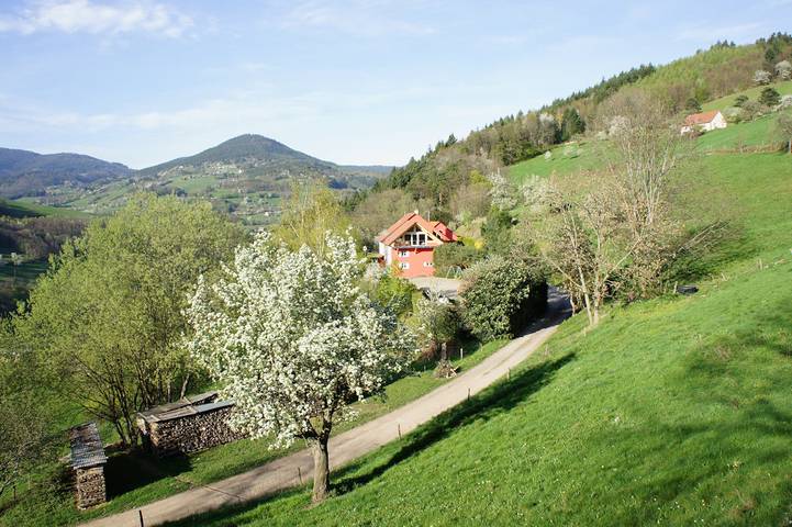 Gîte pour 5 personnes, avec terrasse et jardin en Alsace - 2