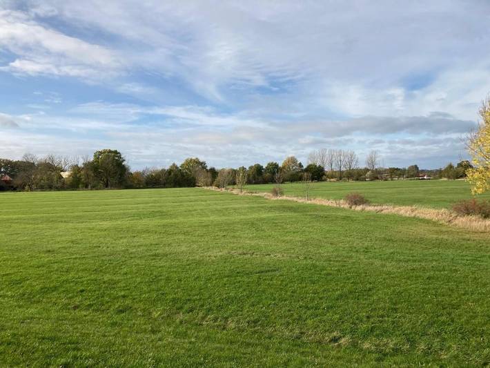 Ferienwohnung für 5 Personen, mit Garten und Ausblick, kinderfreundlich in Amt Neuhaus - 4