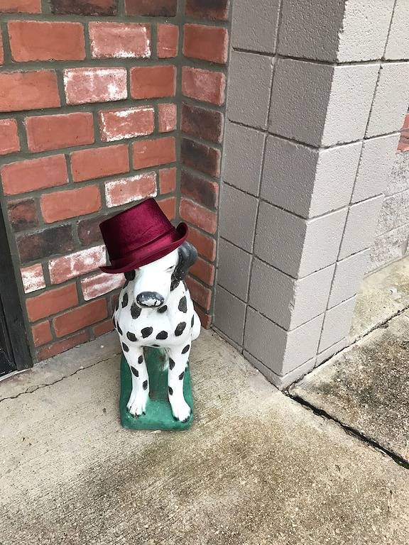 Historisches Feuerhaus für 12 Personen Zu Fuß zum Forellenfischen, White River, große Quelle in Baxter County