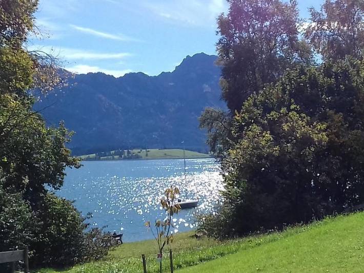 Hütte für 3 Personen, mit Garten und Terrasse am Forggensee - 3