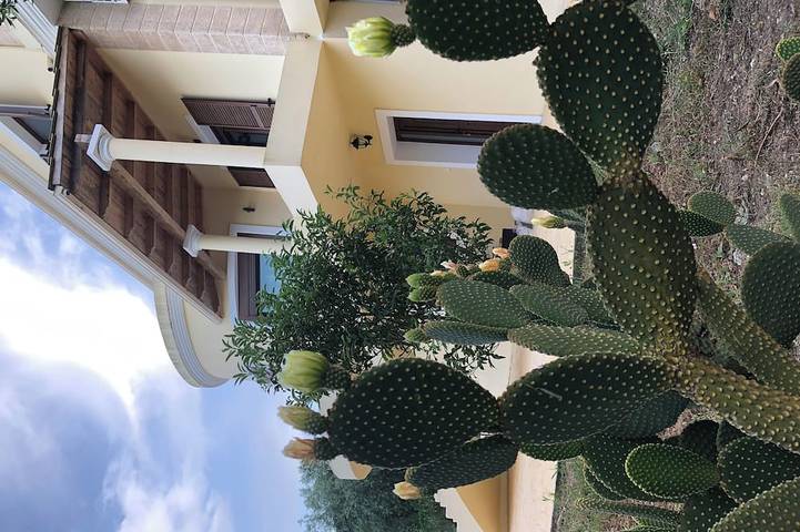 Ferienhaus für 6 Personen - 1