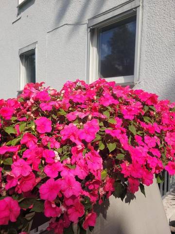 Ferienwohnung für 3 Personen, mit Ausblick und Garten, mit Haustier in Bochum