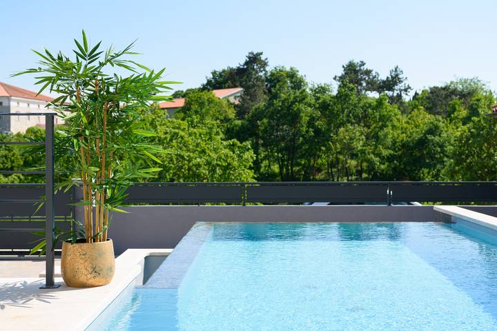 Location de vacances pour 6 personnes, avec piscine et terrasse, animaux acceptés à Svetvinčenat - 2