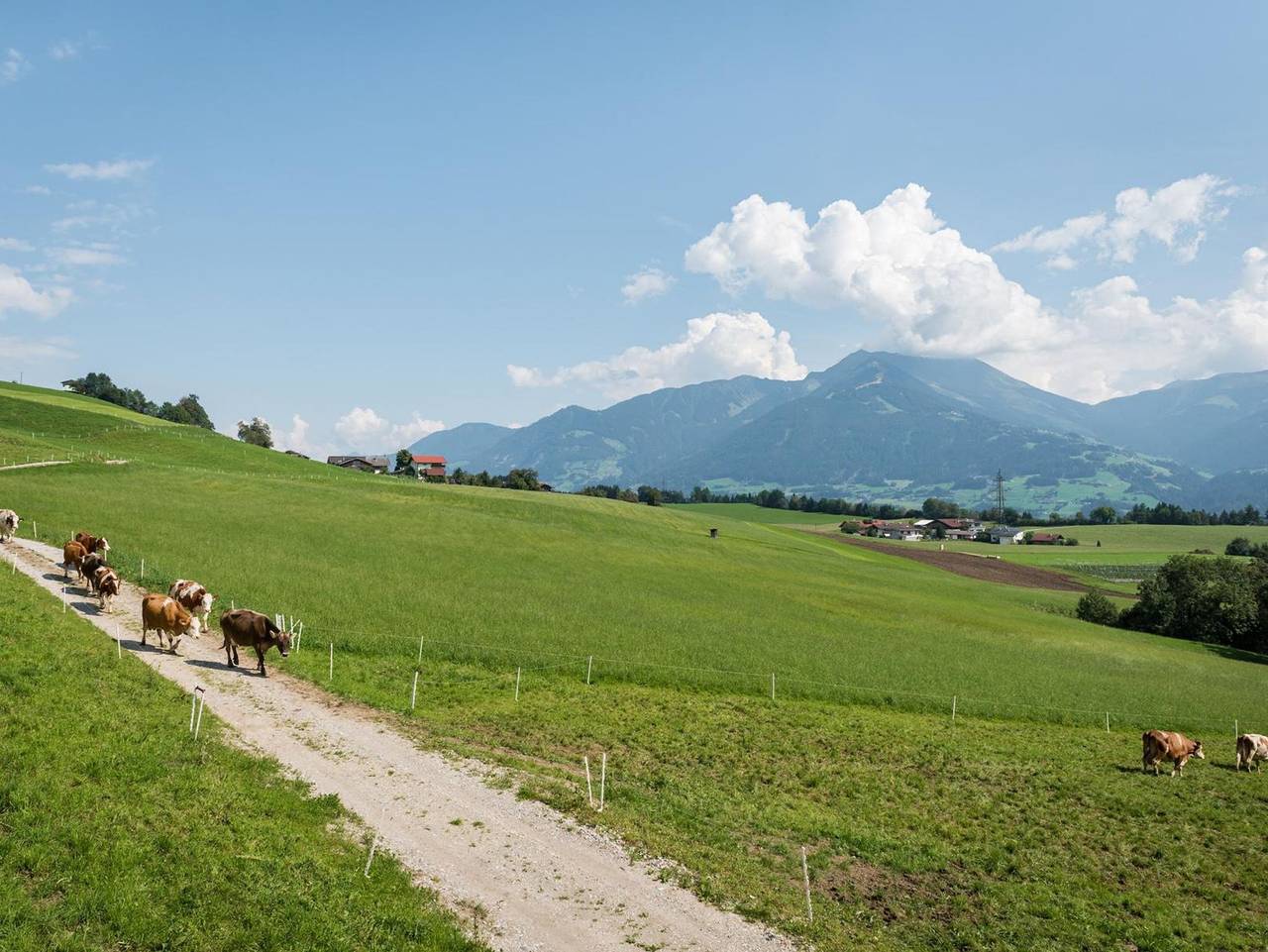 Wichtelhütte in Terfens, Bezirk Schwaz