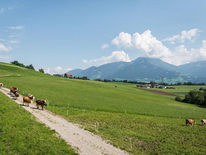 Ferienhaus für 4 Personen, mit Whirlpool und Garten, kinderfreundlich in Österreich - 4