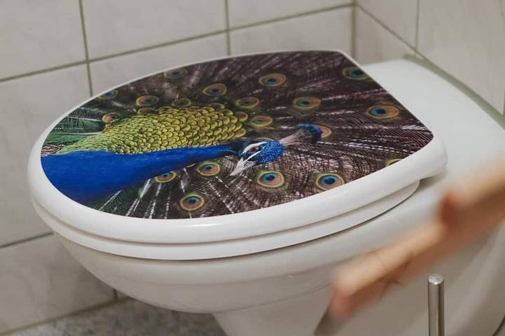 Ferienwohnung für 2 Personen, mit Terrasse, mit Haustier in Neuhausen/Erzgebirge - 3