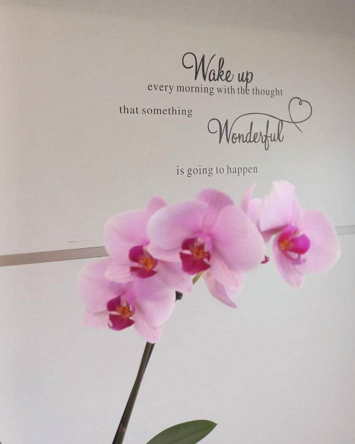 Gîte pour 2 personnes, avec vue et balcon à Porto Sant'Elpidio - 4