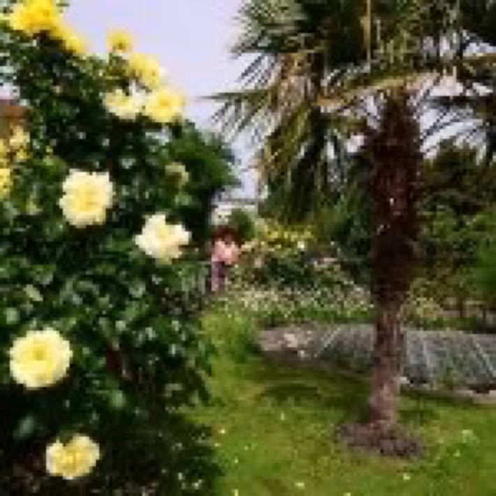 Entire apartment, Dauth Apartment in the Heart of the Village in Kressbronn am Bodensee, Region Bodensee-Oberschwaben