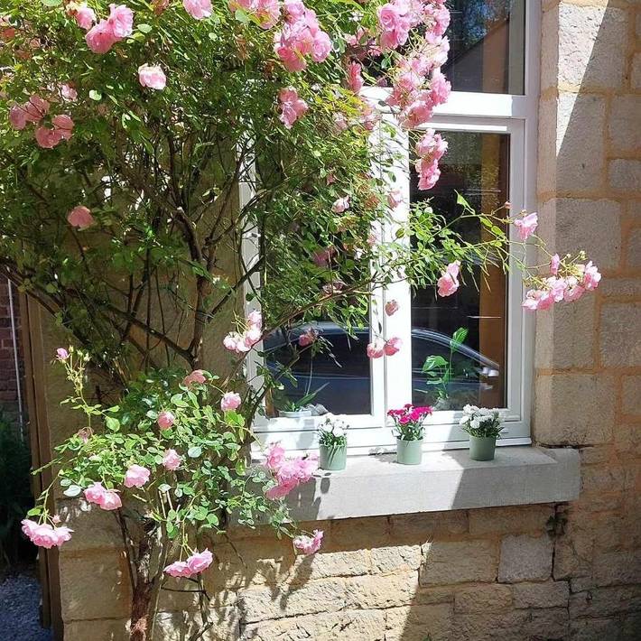 Maison d’hôte pour 2 personnes, avec terrasse et jardin à Dinant - 4