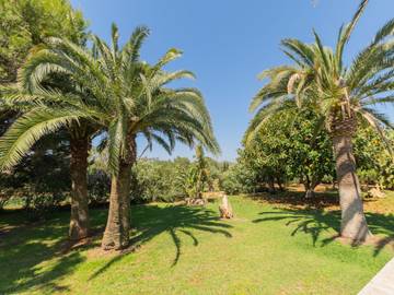 Finca in Calonge (Mallorca), Santanyí für 8 