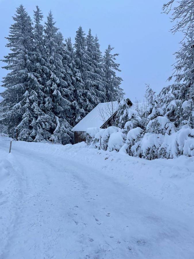 Chalet pour 10 personnes, avec Terrasse à Murat-le-Quaire