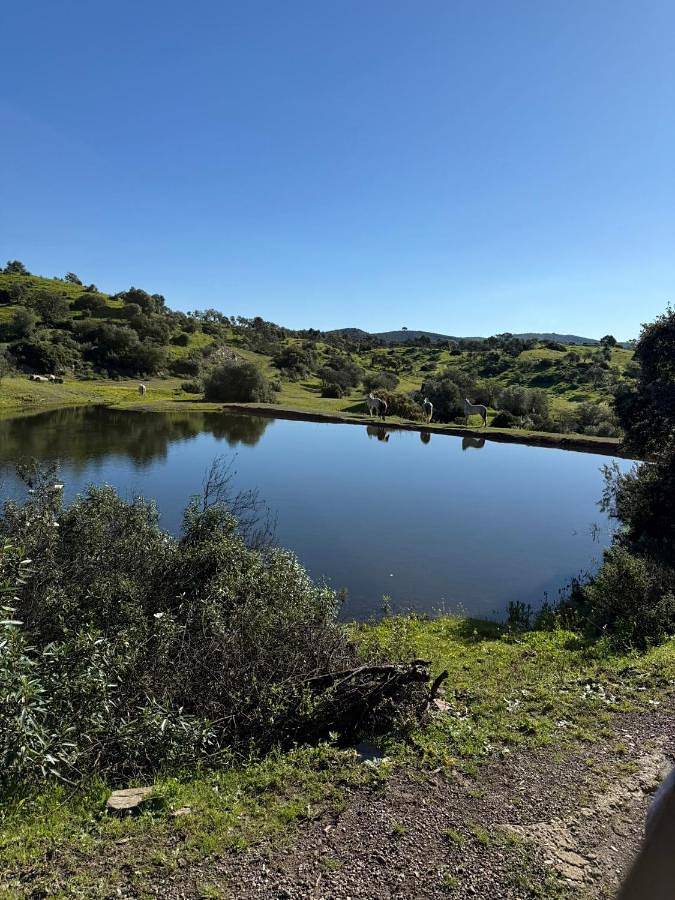 Casa rural para 18 personas, con Balcón y Terraza además de Jardín y Piscina en La Puebla de los Infantes - 3