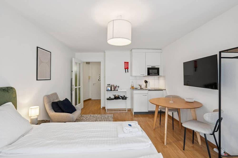 Appartamento intero, City studio in Zurigo, Distretto di Zurigo