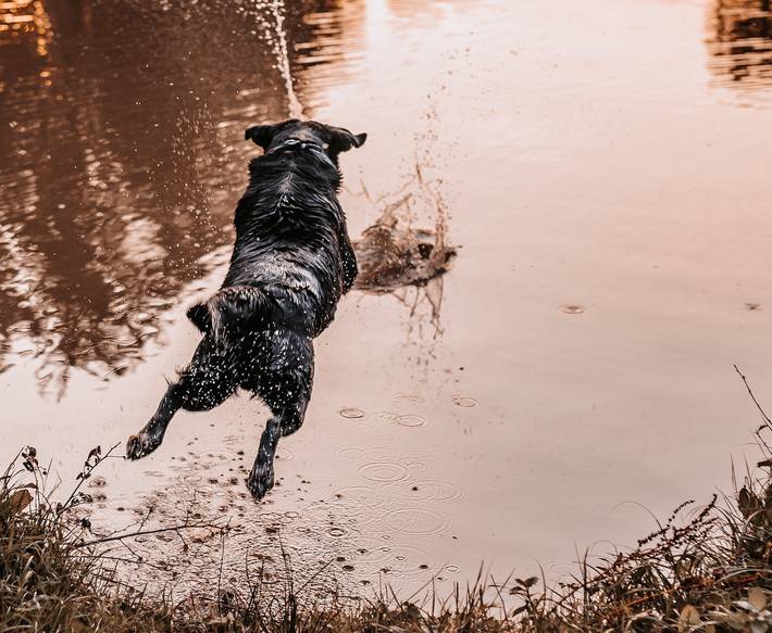 Ferienhaus für 2 Personen, mit Garten und Terrasse, kinderfreundlich in Deutschland - 2