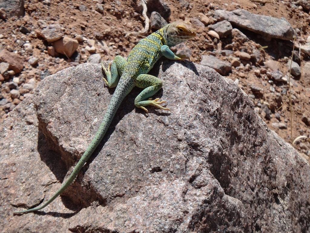 Malerisches Haus in der Stadt mit Rural fühlen! in Moab, Arches-Nationalpark