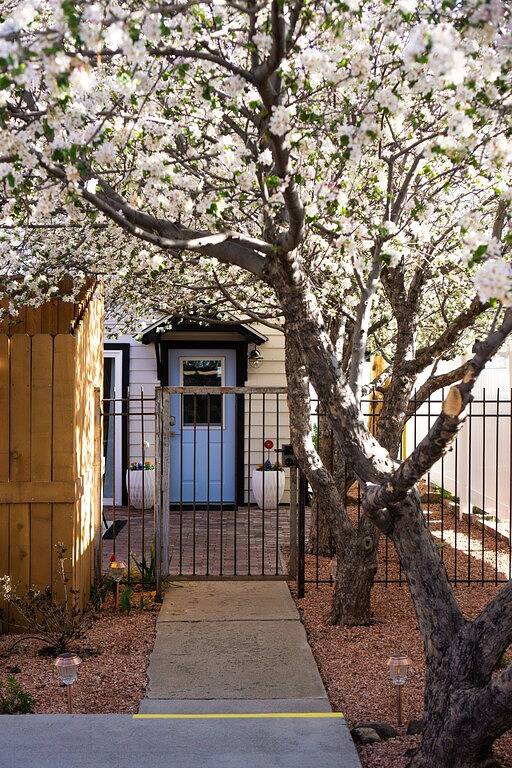 Your Winter Solitude • Quiet Escape • Hot Tub • Snowbowl & Downtown Walks in Flagstaff, Coconino Nationalwald