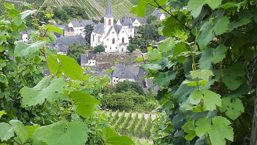 Ferienhaus für 8 Personen in Traben-Trarbach - 2