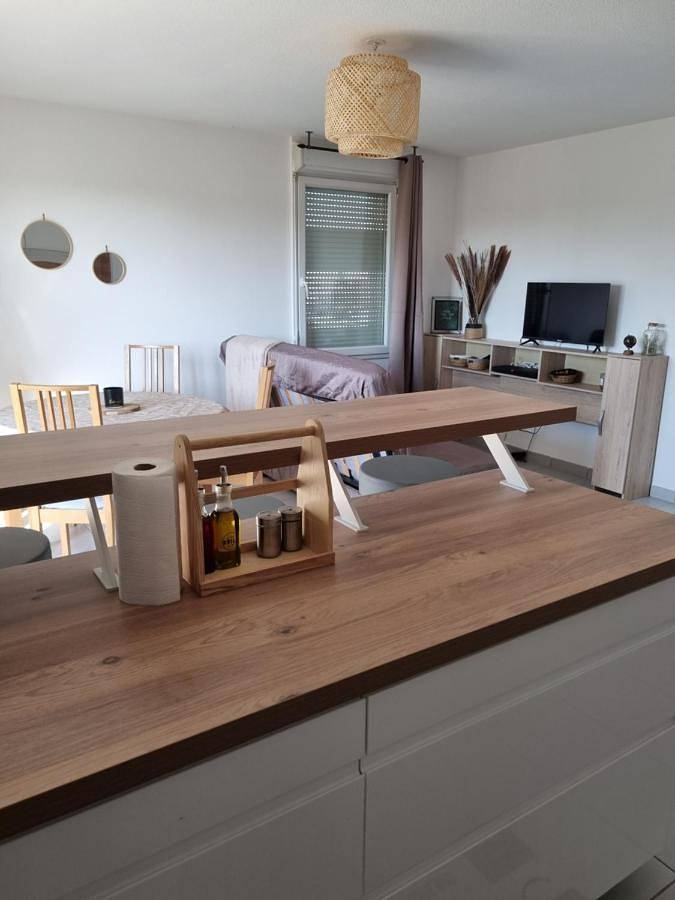 Appartement entier, Appartement proche Meett, aéroport Blagnac, Airbus in Mondonville (homonymie), Toulouse et ses environs