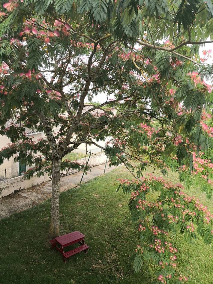 Gîte pour 6 personnes, avec jardin et terrasse à Vienne (France) - 2