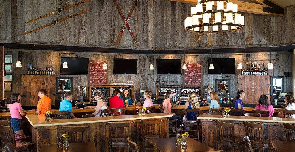 Ganze Wohnung, Mountain Dreams w / Pässe - 5 Minuten zu Fuß zum Spa / Cafe in Wintergreen, Nelson County