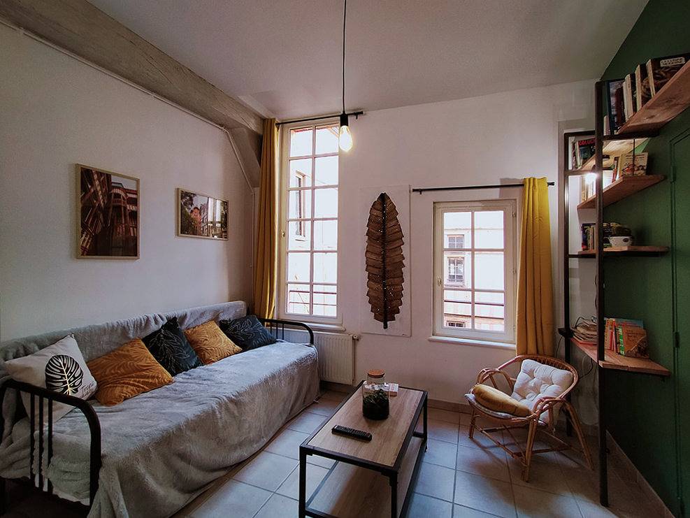 Appartement entier, Olivier - Appartement Champenois à Troyes chez Caty in Quartier du Vauluisant, Troyes