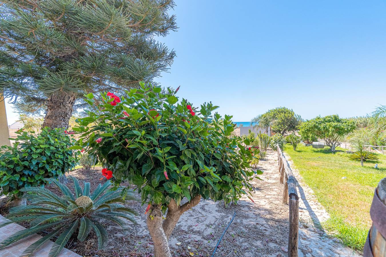 'Vista Sul Mare' a due passi dal mare in Pachino, Siracusa e dintorni
