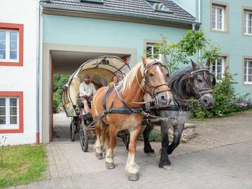 Bauernhof für 8 Personen, mit Terrasse und Sauna sowie Balkon/Terrasse in der Eifel