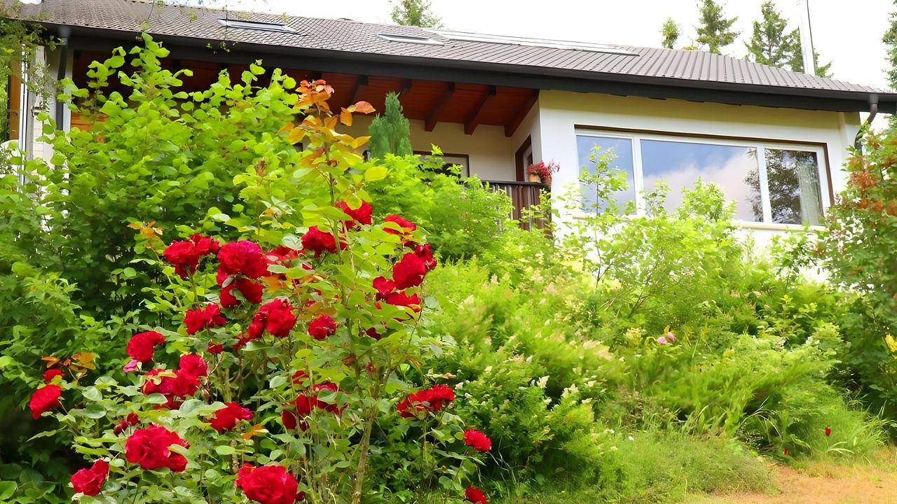 Ferienwohnung für 5 Personen in Schönwald im Schwarzwald, Hochschwarzwald