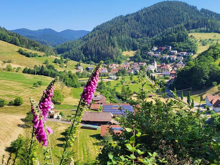 Hotel Walkenstein - Doppelzimmer "Kesselberg" mit Dusche und Wc in Walke, Oberwolfach