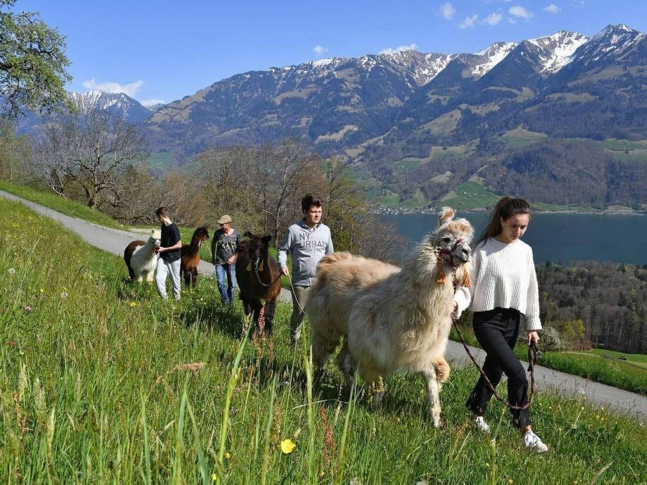 Holzhaus auf Lamahof in Sarnen, Obwalden